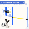 Dog agility training equipment