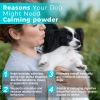 Calming Powder for Dogs Reduces Anxiety Stress and Promotes Relaxation
