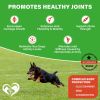 Dog Hip and Joint Supplement Arthritis Pain Relief Treats Glucosamine Chondroitin MSM Soft Chews for Senior Dogs Natural Medicine & Support Mobility T