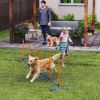 Dog Agility Training Equipment Adjustable Poles for Dog Agility Course with Carry Bag