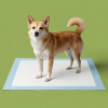 50-Count Disposable Dog Training Pads - 22 x 22 in