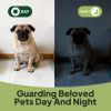 50-Count Disposable Dog Training Pads - 22 x 22 in