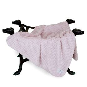 Paris Dog Blanket (Color: Rosewater, size: SM)
